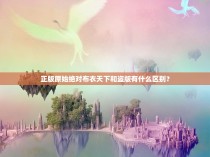 正版原始绝对布衣天下和盗版有什么区别？