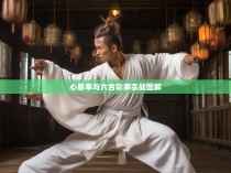 心意拳与六合彩拳实战图解
