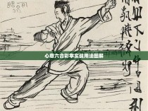 心意六合彩拳实战用法图解