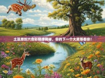 土豆原创六合彩规律揭秘，你的下一个大奖等着你！
