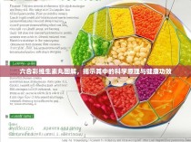 六合彩维生素丸图解,揭示其中的科学原理与健康功效
