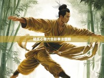 杨氏心意六合彩拳法图解