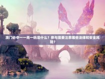 澳门必中一一肖一码是什么？参与需要注意哪些法律和安全风险？