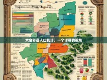 六合彩县人口统计，一个详尽的视角