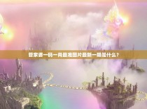 管家婆一码一肖最准图片最新一期是什么？