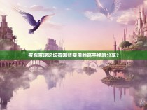 夜东京泥论坛有哪些实用的高手经验分享?