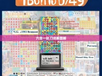 六合一彩刀详解图解