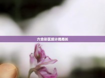 六合彩区统计局局长的职责与角色解析