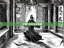 少林六合彩功法图解，一统天下独步江湖的神秘之道