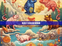 地支六合彩属相图解