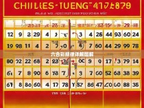 六合彩规律详解图解