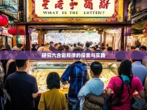 研究六合彩规律的探索与实践