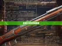 岳家六合彩枪图解