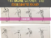 太极拳与六合彩，步法图解