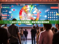 一品轩六合彩公式揭秘，揭秘中国彩票的秘密