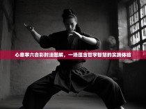 心意拳六合彩肘法图解，一场蕴含哲学智慧的实践体验