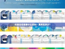 代查征信需要什么资料？费用是多少？