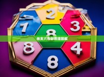 1.六合宫位不重叠，即每个宫位只能有一个数字在投注组合中
