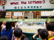 六合一彩统计模版，揭秘彩票游戏的规律与策略