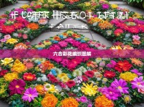 六合彩花编织图解