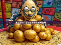 土豆原创六合彩规律的揭秘与应用