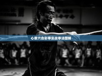 心意六合彩拳实战拳法图解，提升拳技、化解危机的实践指南