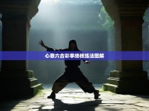 心意六合彩拳绝枝练法图解
