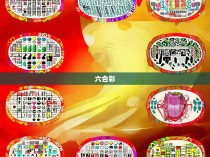 六合彩拳十种形态图解