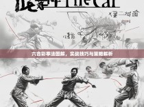 六合彩拳法图解，实战技巧与策略解析