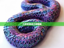 1.蛇形号码布局，六合彩中有66个号码，一般将这些号码按蛇形形状排列在彩票中，如下所示