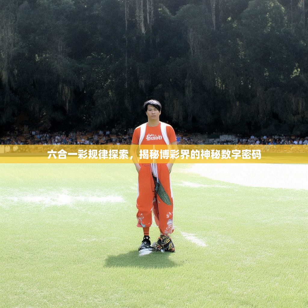 六合一彩规律探索，揭秘博彩界的神秘数字密码