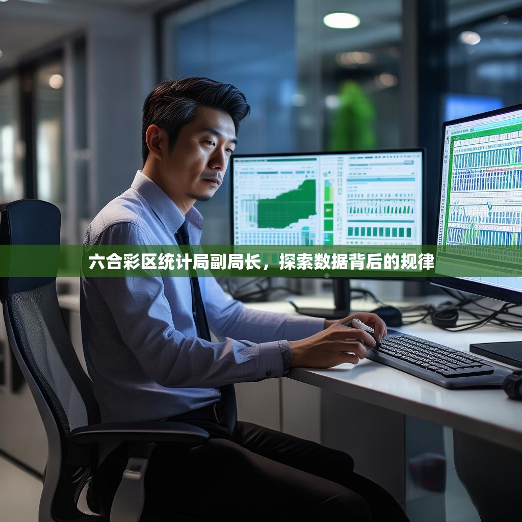 六合彩区统计局副局长，探索数据背后的规律