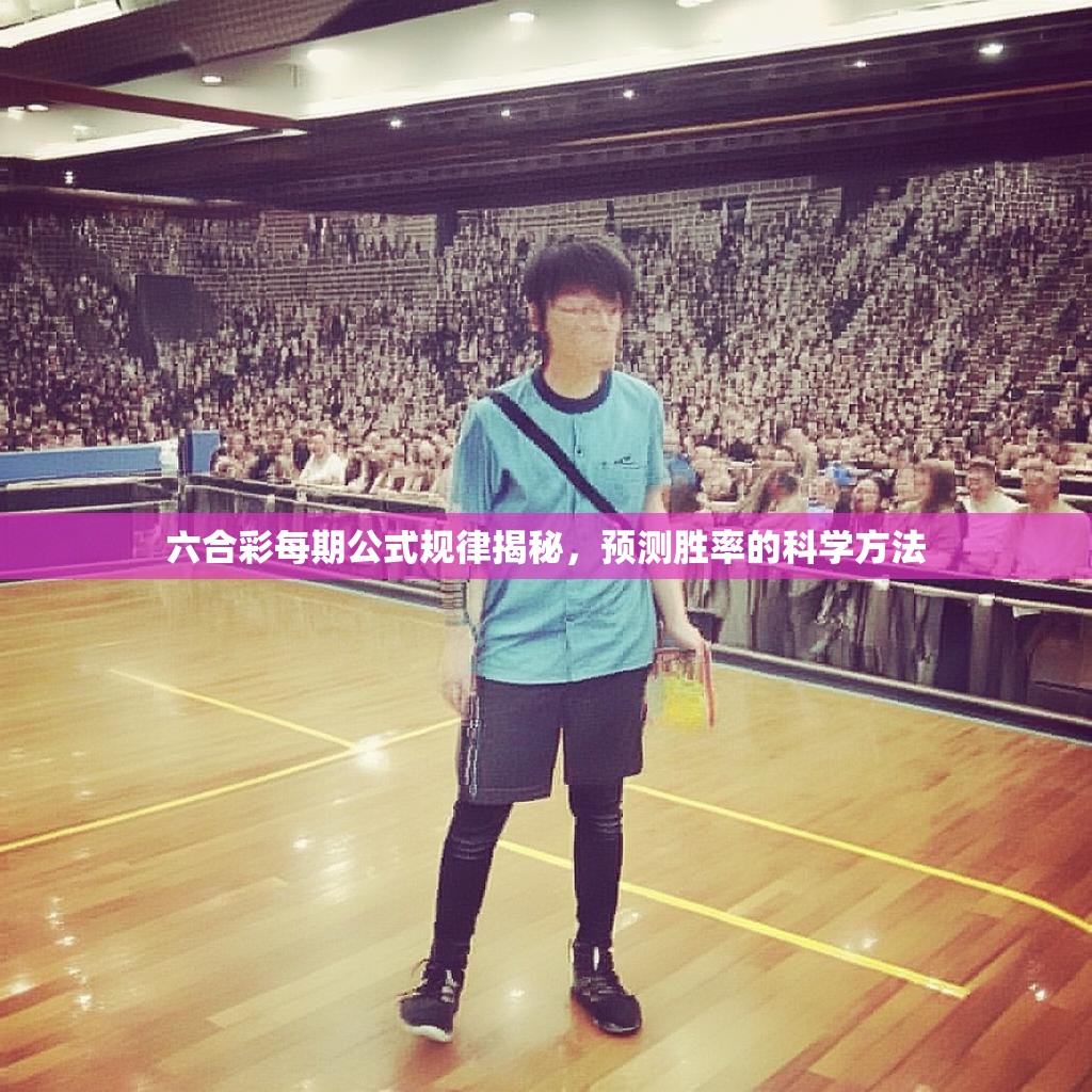 六合彩每期公式规律揭秘，预测胜率的科学方法