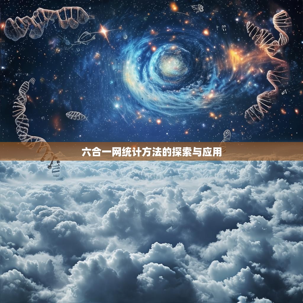 六合一网统计方法的探索与应用