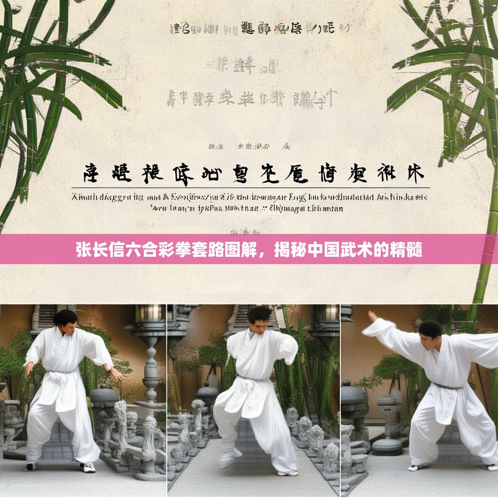 张长信六合彩拳套路图解，揭秘中国武术的精髓