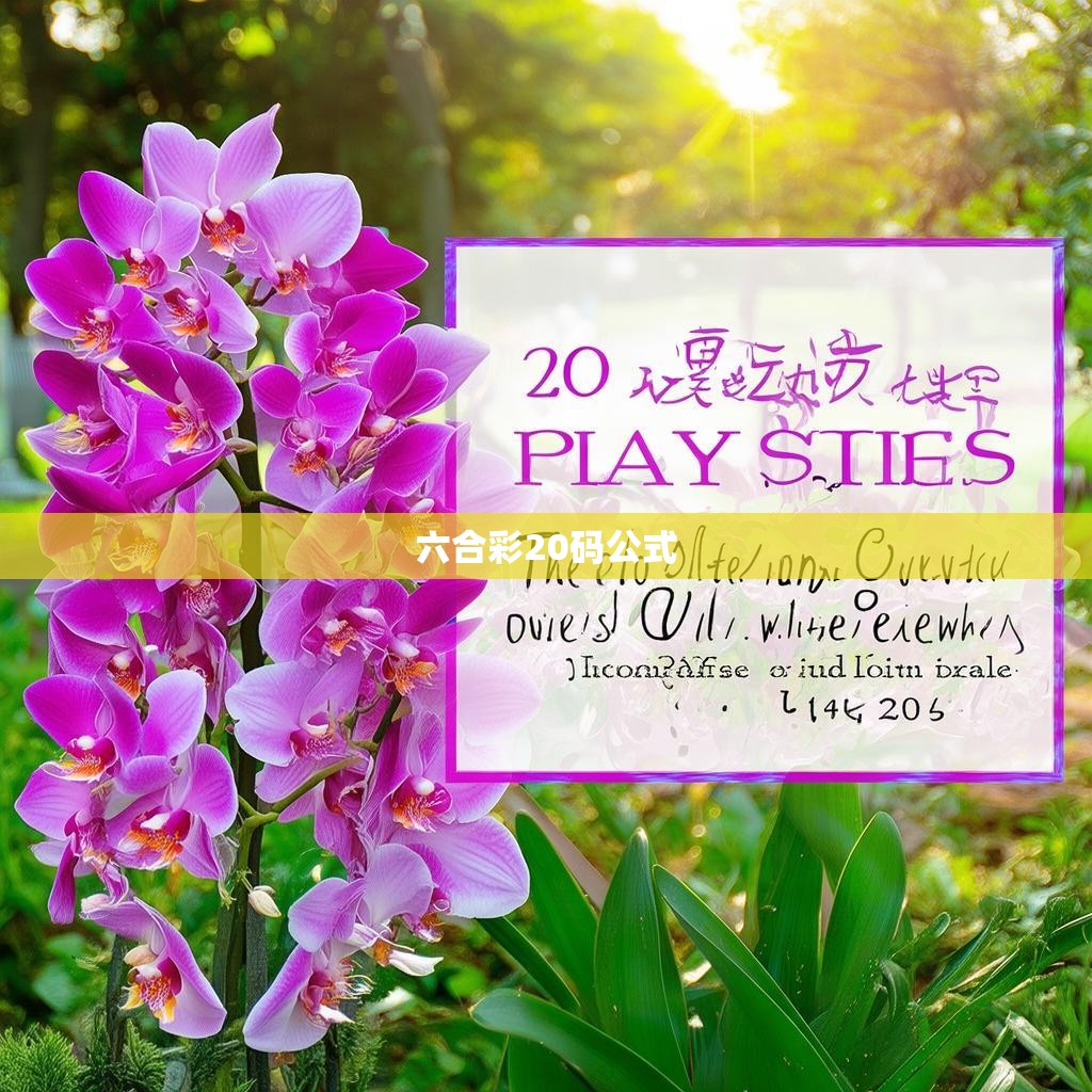 六合一十码中特，揭秘20码投注技巧与公式解析