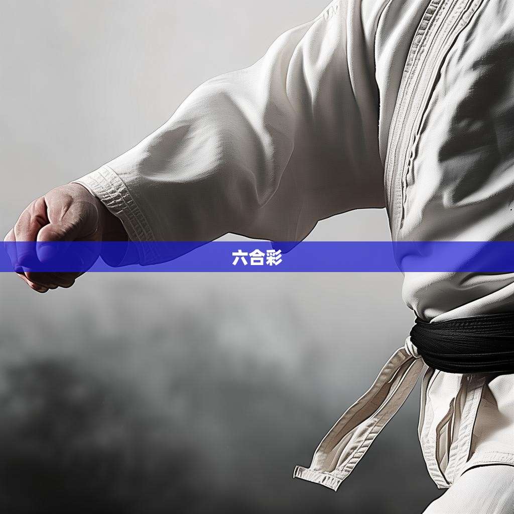 六合彩拳肘法图解