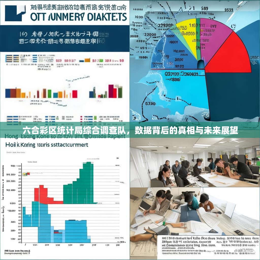 六合彩区统计局综合调查队，数据背后的真相与未来展望